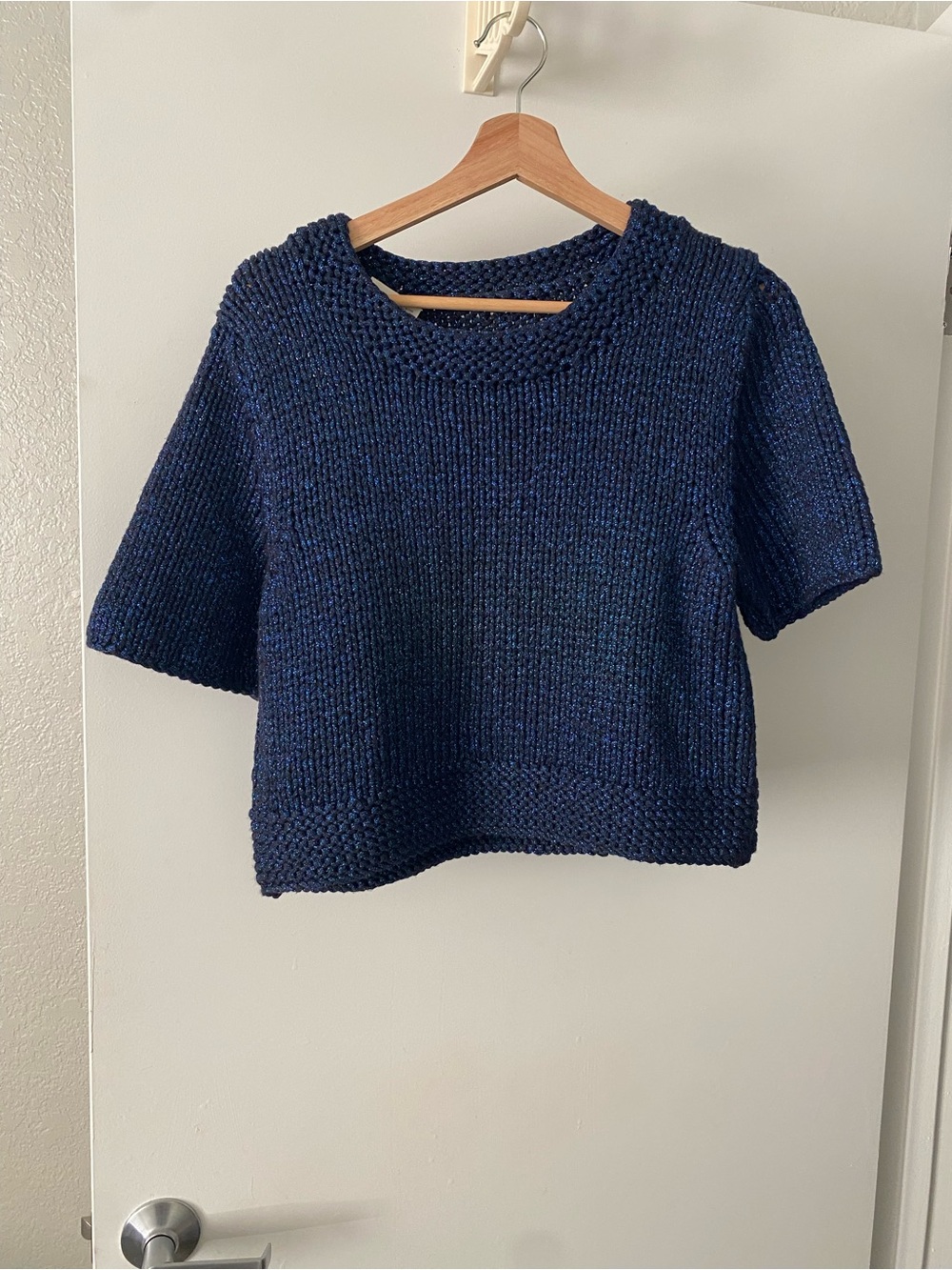 Blue Sparkly Chunky Crop Knit Navy Short-Sleeve Sweater Top